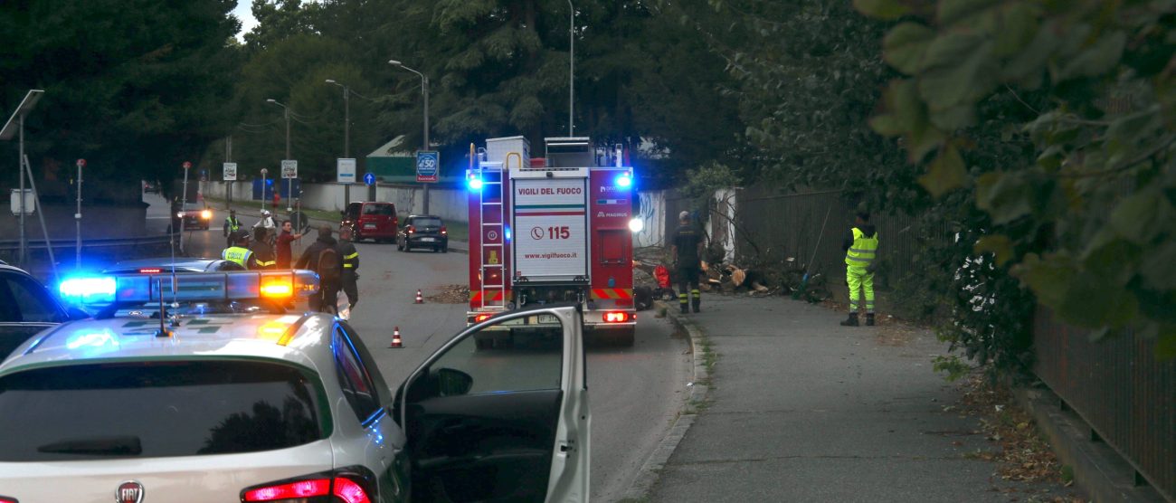 Monza via Boccaccio intervento albero caduto su carreggiata - foto Radaelli