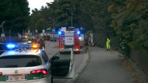 Monza via Boccaccio intervento albero caduto su carreggiata - foto Radaelli