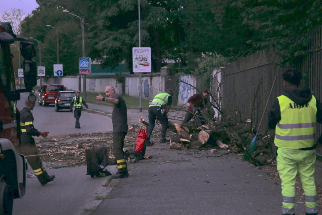 Monza via Boccaccio intervento albero caduto su carreggiata - foto Radaelli