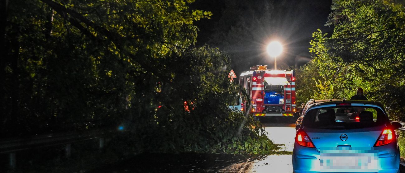 Veduggio temporale albero caduto