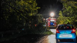 Veduggio temporale albero caduto