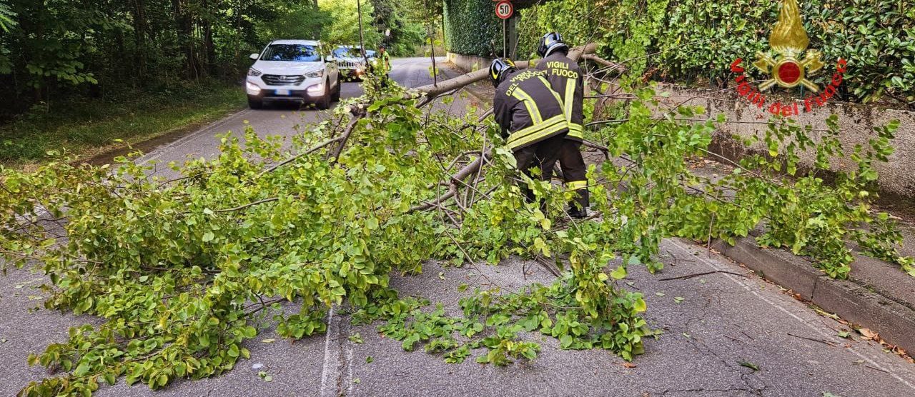 Vigili del fuoco di Monza e Brianza al lavoro per il forte vento