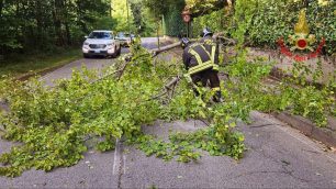 Vigili del fuoco di Monza e Brianza al lavoro per il forte vento