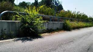 Monza viale Lombardia settembre 2024